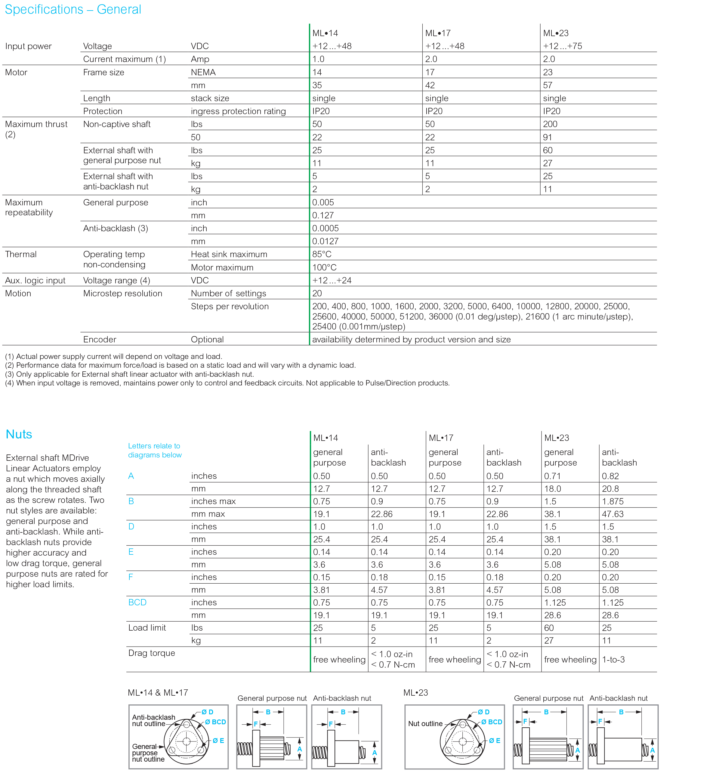 ML-31.jpg